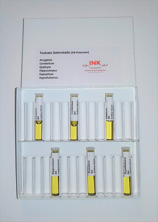 Testsatz - Gehirnteile